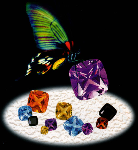 Butterfly &#38; Gems
