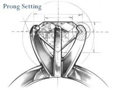 prong diagram